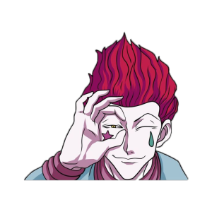 Hisoka-300x300