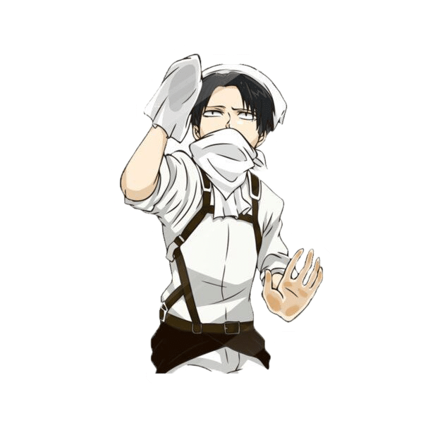 Maid-levi