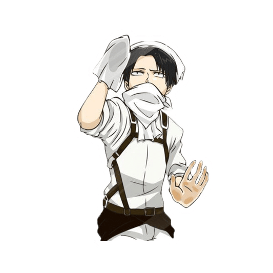 Maid-levi